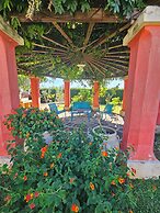 A Casa del Farmacista