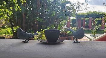 A Casa del Farmacista