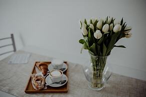 Casa Viola - Palazzo Pezzola