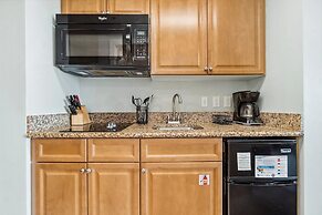 Escapes to the Shores 802