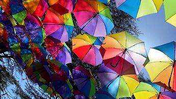 Cedrus Life Bungalow Tesisleri