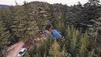 Cedrus Life Bungalow Tesisleri