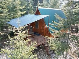 Cedrus Life Bungalow Tesisleri