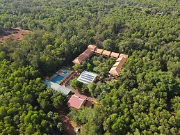 Auro Wellness Castle