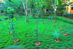 Auro Wellness Castle