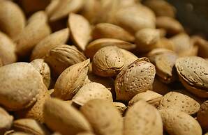 Casa Rural El Olivar B&B