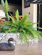 BLACK TREE HOTEL BOUTIQUE