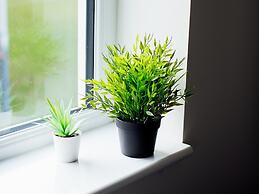 Weston Park Museum Two Bedrooms