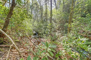 Secluded Brevard Cabin w/ Private Waterfall!