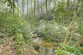 Secluded Brevard Cabin w/ Private Waterfall!