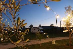 Campeggio in Fattoria