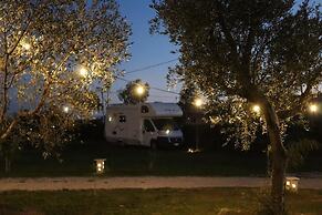 Campeggio in Fattoria