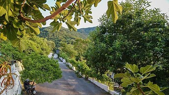 Giardini di iside e osiride