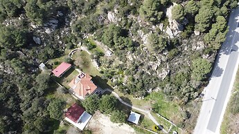 Zennova 21 Dream Nest Home