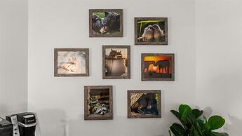 Laurel Valley Mountain Retreat