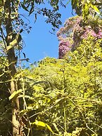 Refúgio dos pinhais