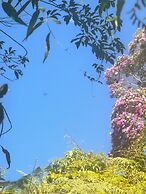 Refúgio dos pinhais