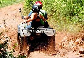 Refúgio dos pinhais