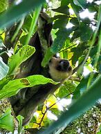 Los Lagos Casas de Campo