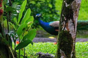 Los Lagos Casas de Campo