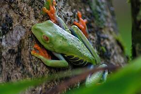 Los Lagos Casas de Campo