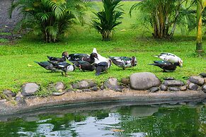 Los Lagos Casas de Campo