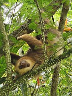 Los Lagos Casas de Campo