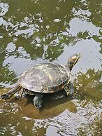 Los Lagos Casas de Campo