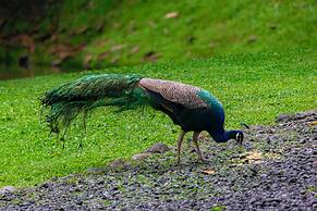 Los Lagos Casas de Campo