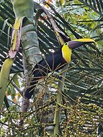 Los Lagos Casas de Campo