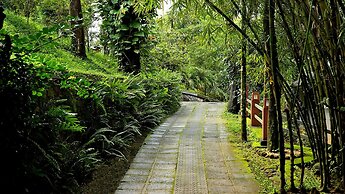 Wayanad Silverwoods Forest Resort & Spa