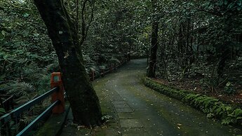 Wayanad Silverwoods Forest Resort & Spa