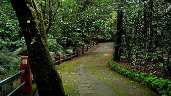 Wayanad Silverwoods Forest Resort & Spa