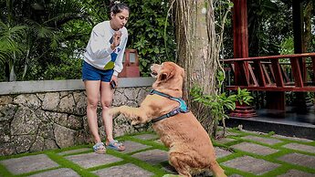 Wayanad Silverwoods Forest Resort & Spa