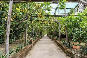 Romantic Garden in Sorrento