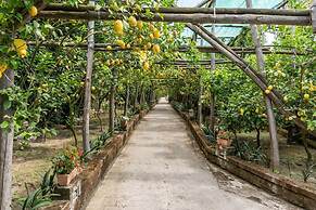 Romantic Garden in Sorrento