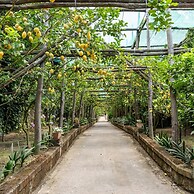 Romantic Garden in Sorrento