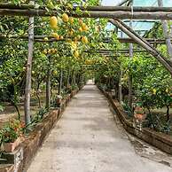 Romantic Garden in Sorrento