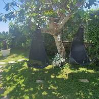 The Retreat of the Senses