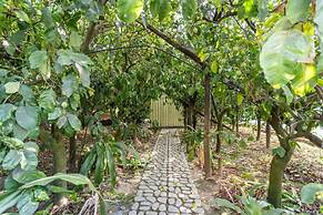 Villa Mimosa in Massa Lubrense