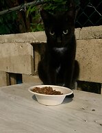 S3 BP Steps to Beach Car Value Service