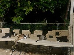 S3 BP Steps to Beach Car Value Service