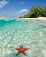 S3 BP Steps to Beach Car Value Service