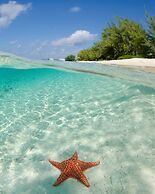 3 Apartments Steps to Beach Free Breakfast
