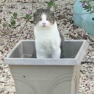 S4 BP Steps to Beach Car Value Service