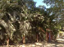 Charming, Art-filled Casa Poesia