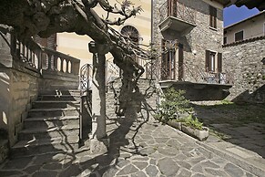 Il Glicine Di Anna