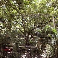 Marvelous Loft With Private Terrace in Laureles