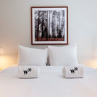 w Spectacular 3BR in Polanco