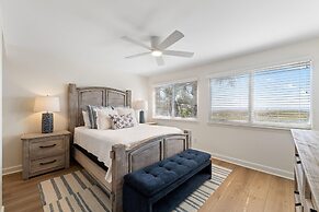 Needle Rush Point D11